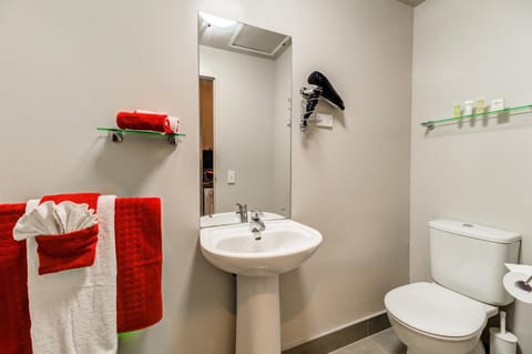 VR Auckland City Apartment hotel in Auckland
