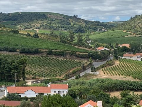 Quinta Ribeira do Labrador - Lisbon West Wine Route Farm Stay in Lisbon District