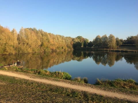 Au lévrier de chessy Chambre d’hôte in Chessy