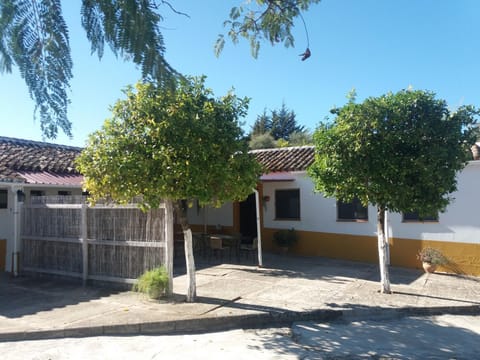 Property building, Balcony/Terrace