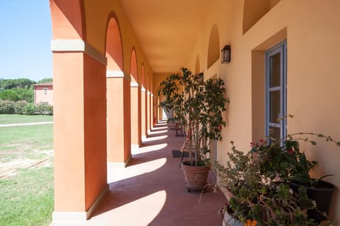 Patio, Facade/entrance, Day, Decorative detail