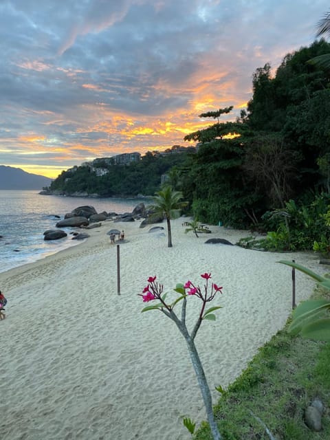 Natural landscape, Beach, Sunset