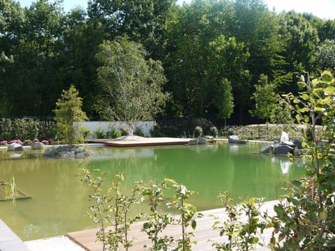 Natural landscape, Activities, Lake view, Swimming pool