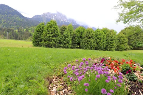 Dahlia Condo in Saanen