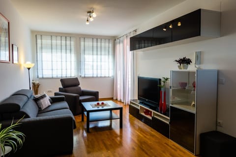 APP - 1 Apartment in Novigrad