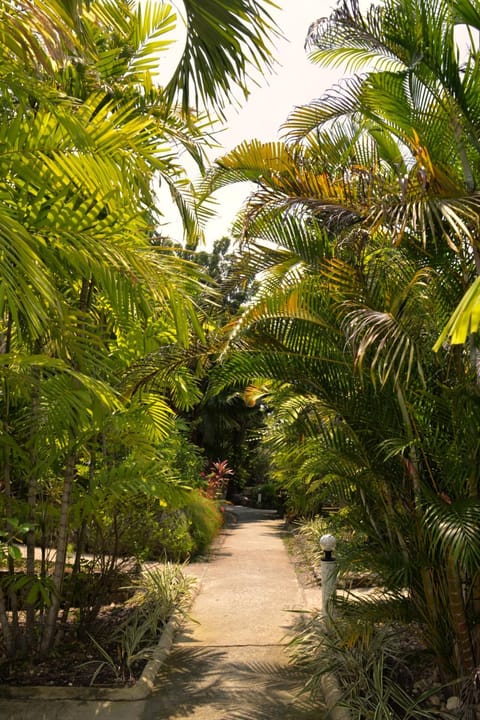 Garden, Garden view