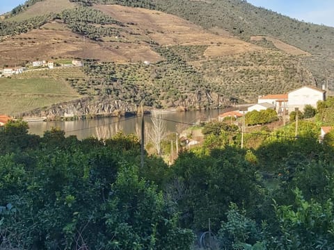 Casa da Padaria House in Vila Real District