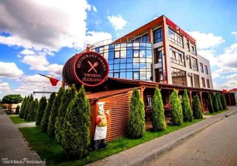 Hotel Taverna Pecicana Hôtel in Timiș County