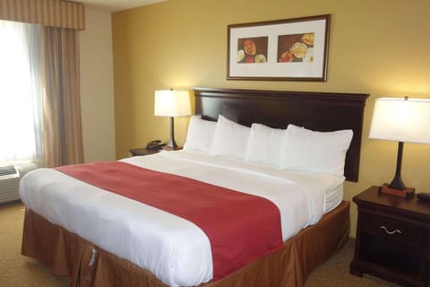 Country Inn & Suites by Radisson, Rome, GA Hotel in Rome