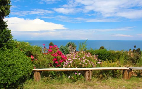 Lake view, Landmark view