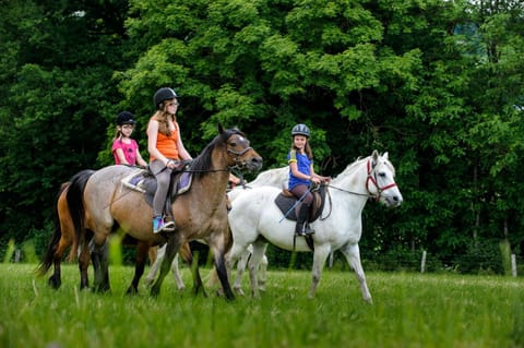 Horse-riding