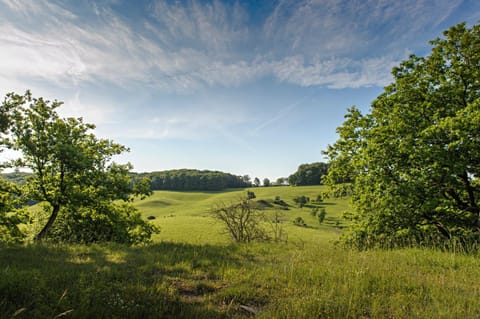 Natural landscape