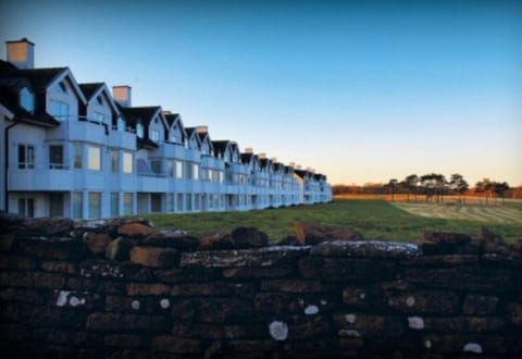Property building, Day, Garden, Sunset