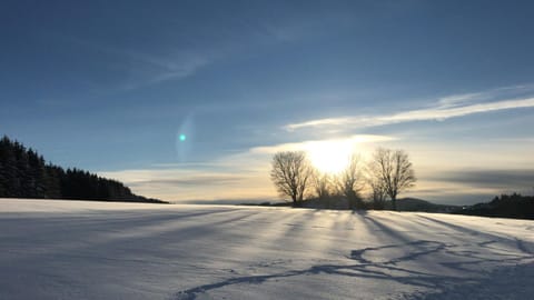 Natural landscape, Winter, Sunrise