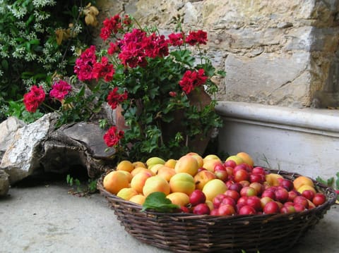 Paradosiako Saratsi - Traditional Guest House Bed and Breakfast in Magnesia Prefecture, Greece