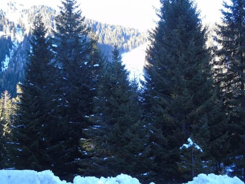 Hs4U Chalet sulle piste - Dolomiti - Madonna di Campiglio Apartment in Province of Brescia