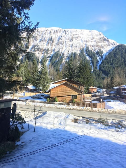 Glacier Guest Room - PRIVATE ROOM IN SHARED HOUSE REDUCED PRICE ON TOURS Haus in Mendenhall Valley