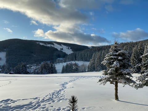 Natural landscape, Winter, Mountain view