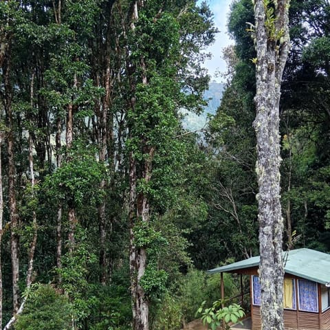 Miriam'S Quetzals lodge Bed and Breakfast in Cartago Province, Costa Rica