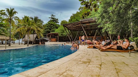 Day, People, Garden, Garden view, Pool view, Swimming pool, group of guests, sunbed