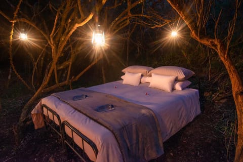 Glamping Safari Camp - Bellevue Forest Reserve Luxury tent in Eastern Cape