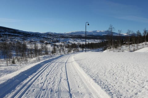 Bergfosshytta Condo in Innlandet