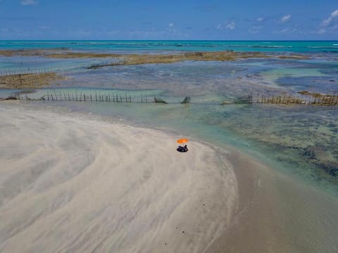 Ipioca Beach Village Bed and Breakfast in Maceió