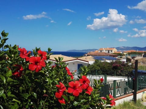 Garden view, Sea view