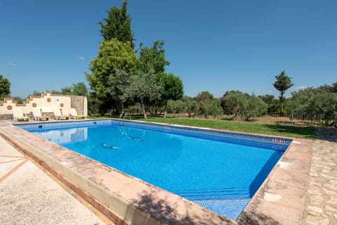 Garden, Swimming pool, Swimming pool