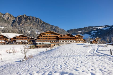 Property building, Winter, Garden, Mountain view