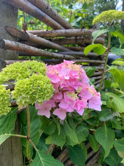 Spring, Day, Garden, Garden view