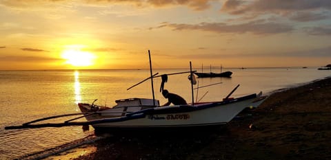 Natural landscape, Sunset