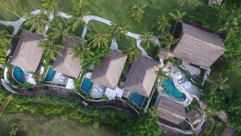 Bird's eye view, Garden, Decorative detail, Swimming pool