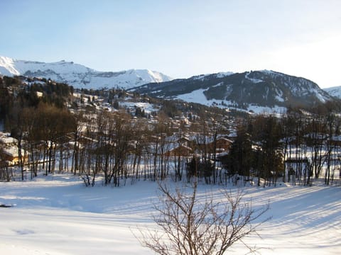 Day, Natural landscape, Winter, On site, Mountain view