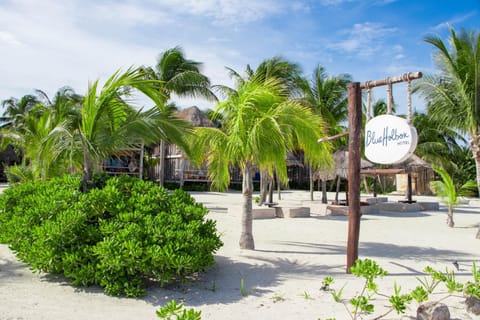 Blue Holbox Hotel in Holbox