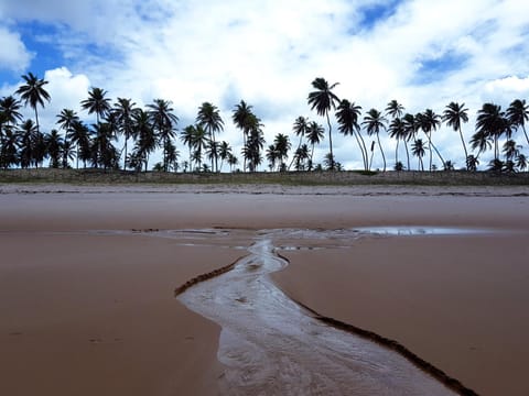 Natural landscape, Beach