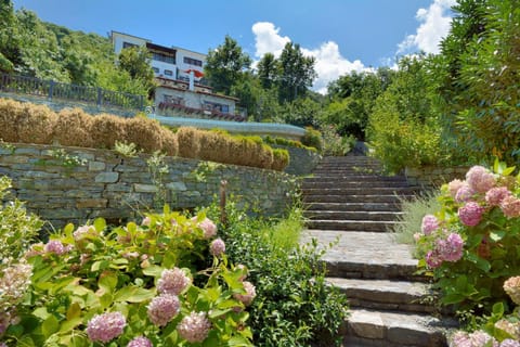 Spring, Day, Natural landscape, Garden, Garden view