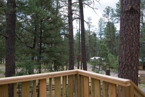 Roadrunner - Cozy Whirlpool Cabin in Upper Canyon House in Ruidoso