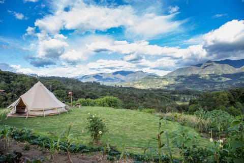 BBQ facilities, Bedroom, Mountain view