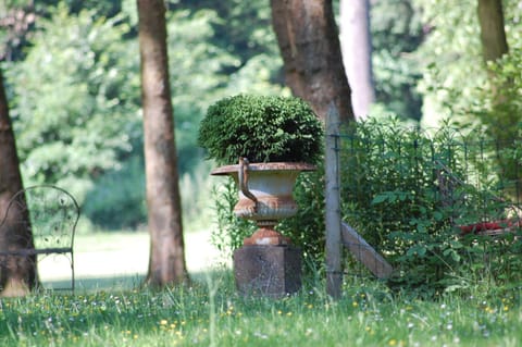 Day, Summer, On site, Garden view