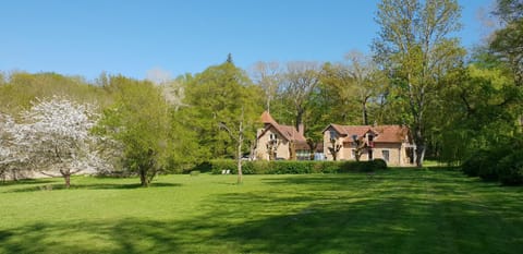 Property building, Garden view