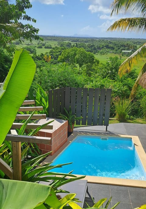 Patio, Swimming pool