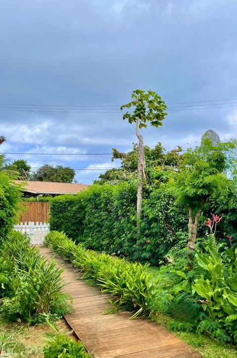 Day, Natural landscape, Garden, Garden view