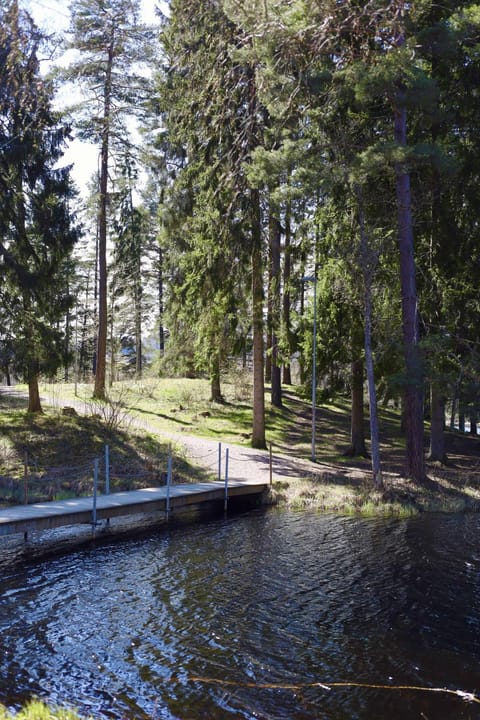 Natural landscape, Lake view