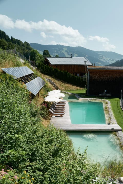 Garden view, Pool view, Swimming pool, sunbed