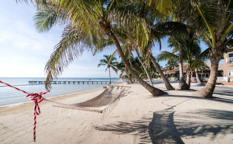 Beach, Sea view