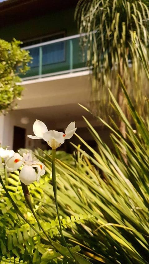 Natural landscape, Garden view