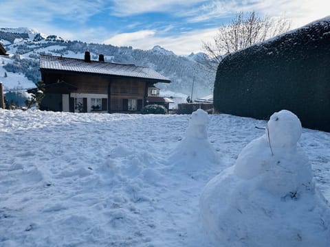 Natural landscape, Winter, Mountain view