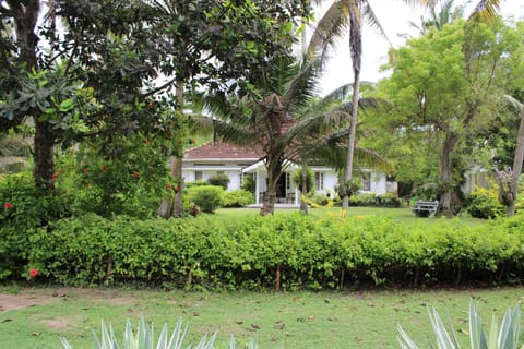 Garden, Garden view