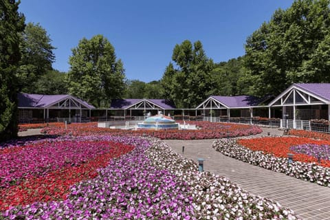 Spring, Day, Natural landscape, Garden, Garden view